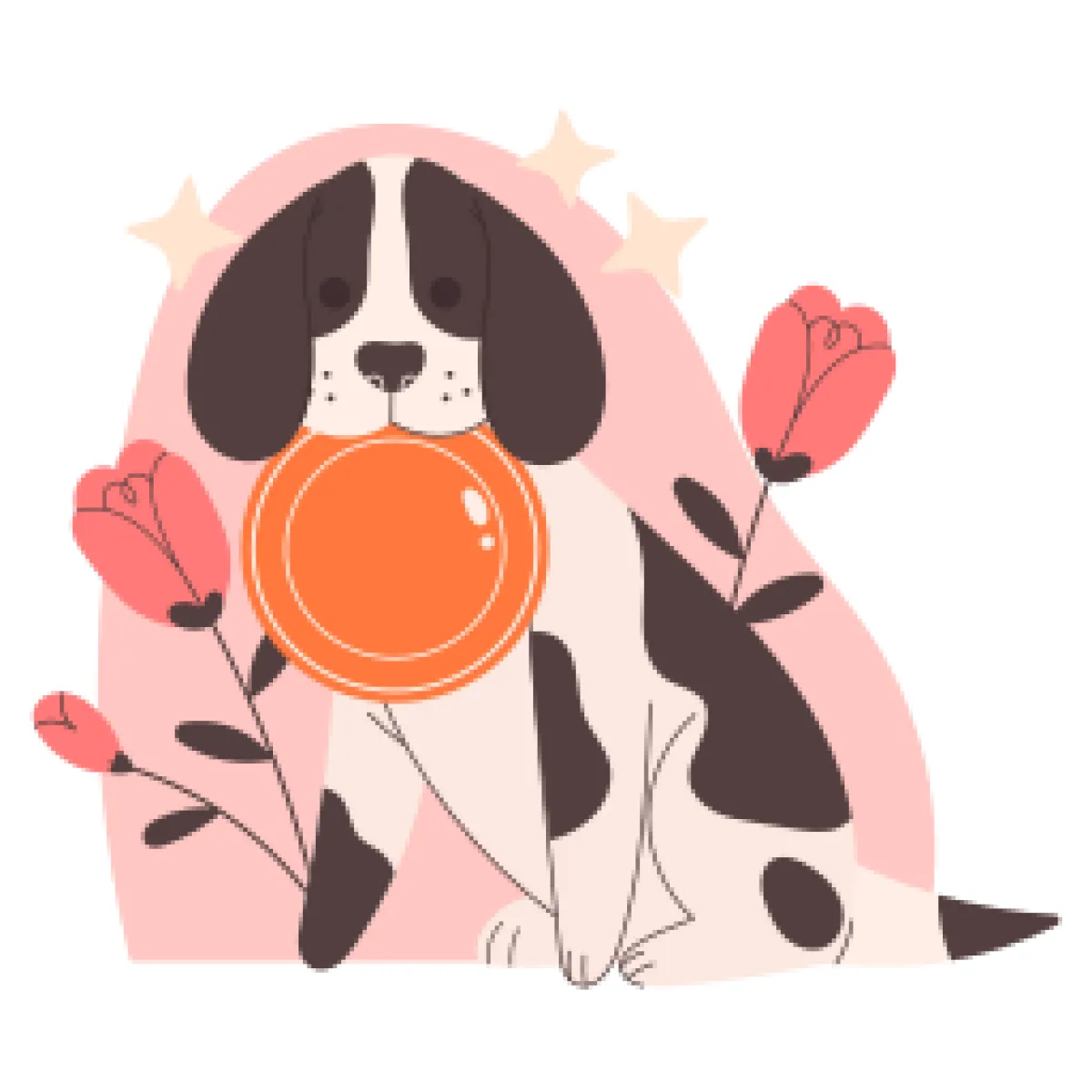 Naudingi patarimai ir gyvenimo patarimai